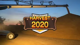 Harvest 2020 Zells, all headers