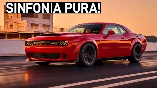 LISTA: RONCOS MAIS BONITOS DE MOTOR