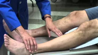 Peripheral vascular system assessment