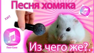 Singing hamster