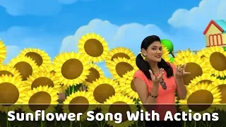Sunflower Song With Actions | Flower Rhymes For Babies | Learn Flowers For Kids | Toddlers Songs