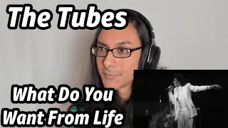 The Tubes What Do You Want From Life Reaction Musician First Listen