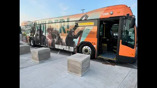 Indy Zoo reveals chimp-themed IndyGo bus wraps