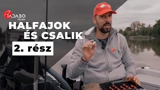 Halfajok és csalik 2. rész - Balinozás ősszel