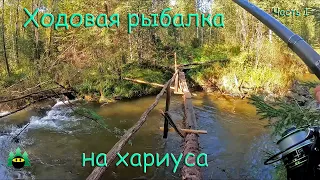 Ходовая рыбалка на хариуса (Часть 1)