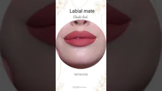 terracota 💋 labial líquido Studio look mate