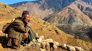 Carrying meal to the sheepfarm for the shepherd.