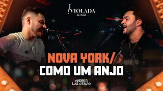 Nova York / Como Um Anjo - Violada do AeLO