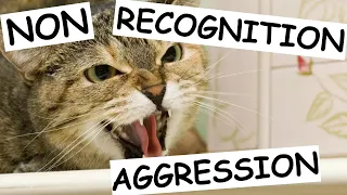 WHAT IS NON RECOGNITION AGGRESSION?