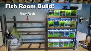Fish Room Build! Building A New Rack and Painting Aquarium Backgrounds