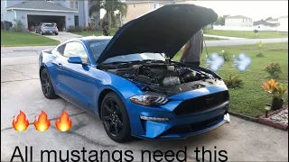 2020 Mustang EcoBoost ( bypass Valve Adapter) install and Review. Sounds insane!!!