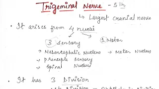 TRIGEMINAL NERVE | part 1 | Human anatomy | Oral surgery