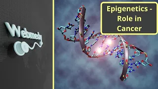 Epigenetics and its Role in Cancer Development and Treatment