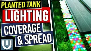 Coverage & Spread in Planted Tank Lighting  - Planted Aquarium Lighting Guide - Part 4