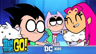 Teen Titans Go! En Español | Más gatos 😻Gatos 😽Gatos😼 | DC Kids