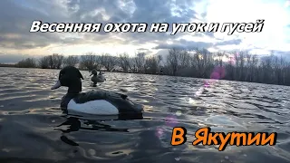 ОТКРЫТИЕ ВЕСЕННЕЙ ОХОТЫ НА УТОК И ГУСЕЙ 2023/ЯКУТИЯ