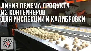 Линия сортировки картофеля