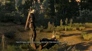 [PC] [8] Прохождение The Witcher 3: Wild Hunt - Ценный груз (4 развязки квеста)
