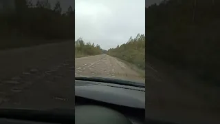 Дорога до деревни Соболевка.