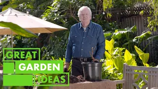 Winter jobs to do around the Garden | GARDEN | Great Home Ideas