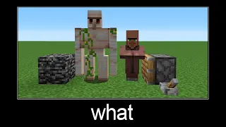Minecraft wait what meme part 72 (iron golem + villager =?)