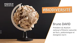 🌍 [Bruno David] Biodiversité : quelle importance !