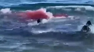 This Swimmer Was BITTEN IN HALF By A Great White Shark