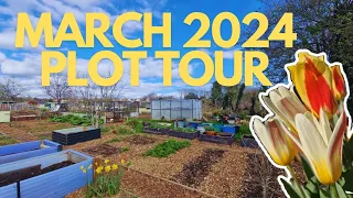 🌼🌱 MARCH 2024 PLOT TOUR || ALLOTMENT GARDENING 🌱🌼