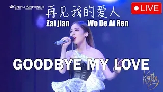 Goodbye My Love 再见我的爱人 Zai jian Wo De Ai Ren - Live Performance by Kartika Wang