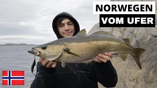 Uferangeln auf Pollack und Dorsch in Norwegen | Spinnfischen von der Küste | NO#1