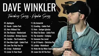Dave Winkler -  Playlist Cover Full Album 2023 |  Most Viewed Acoustic Covers