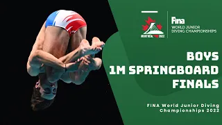 LIVE | Diving | FINALS | Boys (16-18 Years old) | 1m Springboard | World Junior Championships 2022
