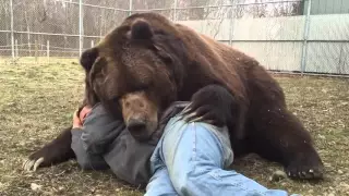 Un homme et son ours