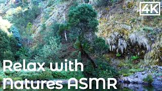 4K Stunning Green Cliff face, Pristine Creek and White Noise ASMR for Stress Relief and Relaxation