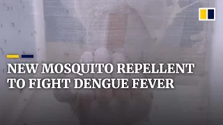 Japanese mosquito repellent may curb dengue fever uptick in Southeast Asia