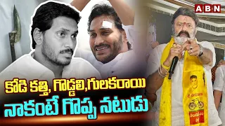 కోడి కత్తి, గొడ్డలి,గులకరాయి..నాకంటే గొప్ప నటుడు | Balakrishna Satires On YS Jagan | ABN Telugu