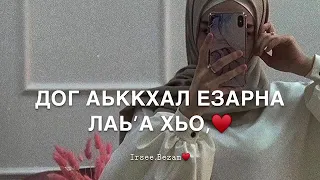 Песня «Йиша»♥️