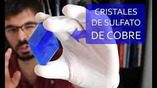Cómo hacer cristales azules ENORMES de SULFATO DE COBRE en casa