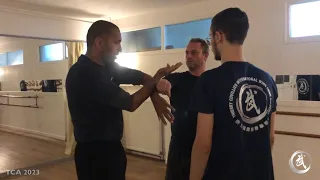 Thierry Cuvillier  Wing Chun - Montpellier 2023