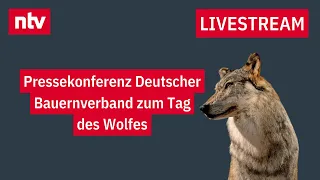 LIVE: Pressekonferenz Deutscher Bauernverband zum Tag des Wolfes