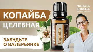 СOPAIBA essential oil. How to quickly relax, relieve anxiety and improve immunity