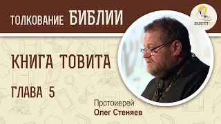 Книга Товита. Глава 5. Протоиерей Олег Стеняев. Библия. Ветхий Завет