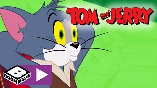 Tom & Jerry | Cat Dance Fever | Boomerang UK