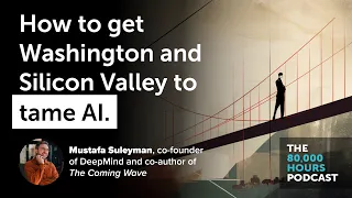 How to get Washington and Silicon Valley to tame AI | Mustafa Suleyman