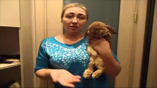 AliveMax Отзыв Елена Севрикова Краснодар спреи помогают даже животным