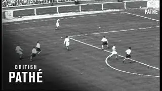 Cup Final (1954)