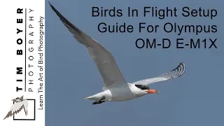 Olympus OM-D E-M1X Birds-In-Flight  Setup