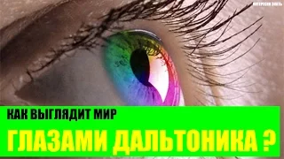 Как выглядит Мир глазами дальтоника?