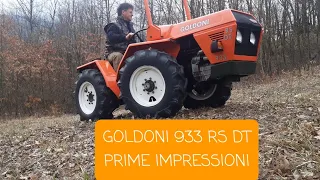 Goldoni 933 rs/dt prime impressioni.