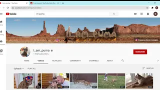 I am puma, обзор канала , сколько зарабатывает канал на YouTube????